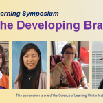 Webpage image for the developing brain symposium new new